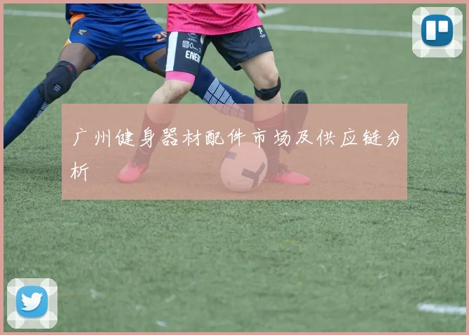 广州健身器材配件市场及供应链分析