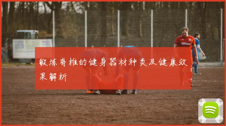 锻炼脊椎的健身器材种类及健康效果解析