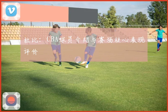 杜比：CBA球员介绍与赛场核心表现评价